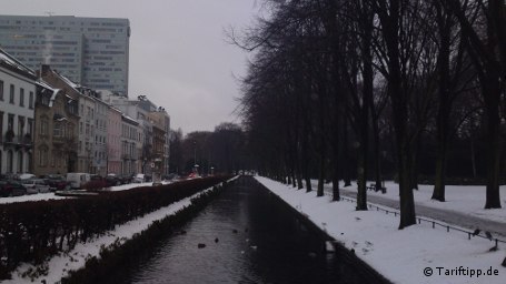 Trotz nicht optimaler Lichtverh&auml;ltnisse gibt es an dieser Tagaufnahme nichts zu beanstanden